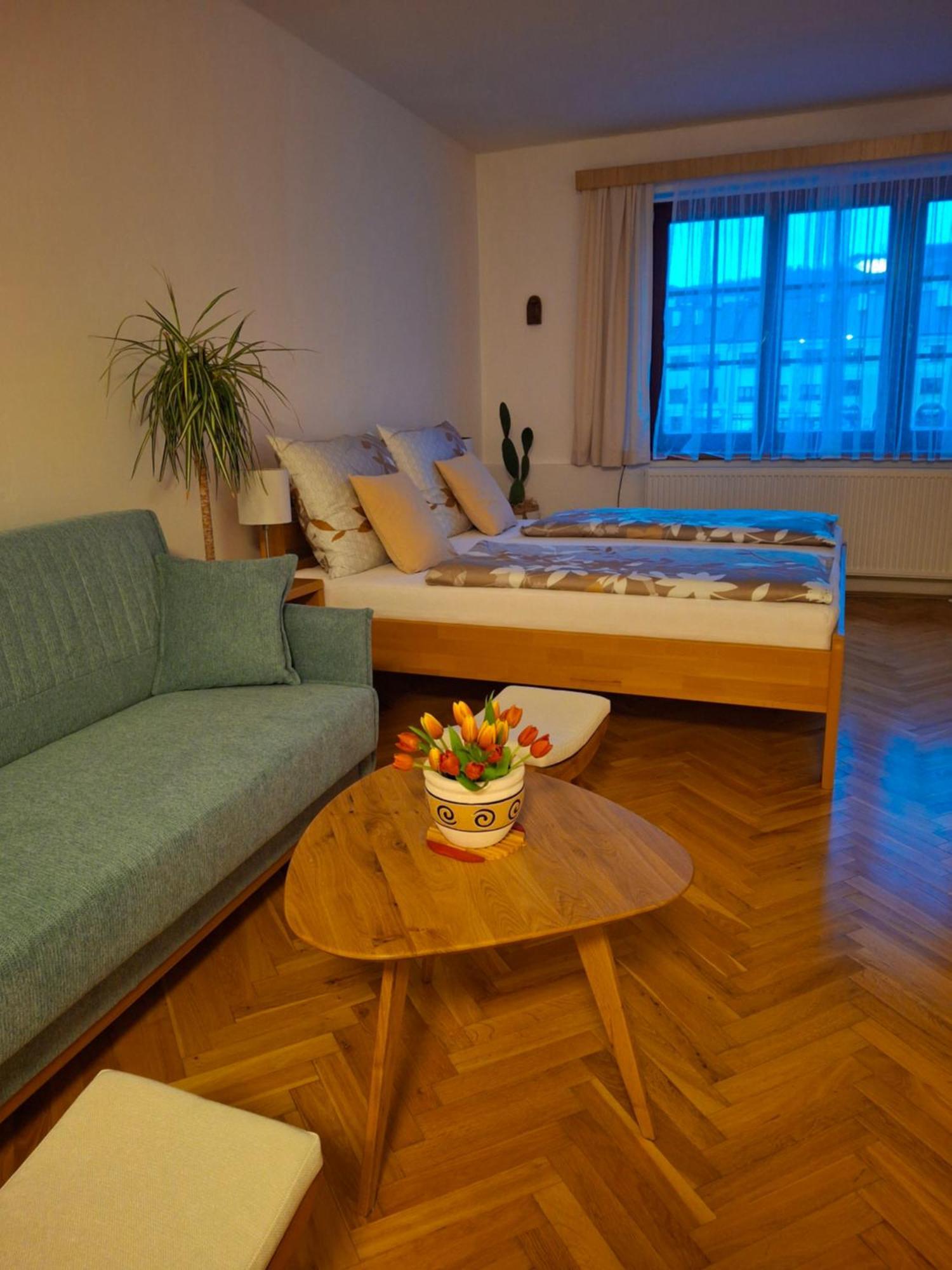 Ubytovani U Lipy Náchod エクステリア 写真