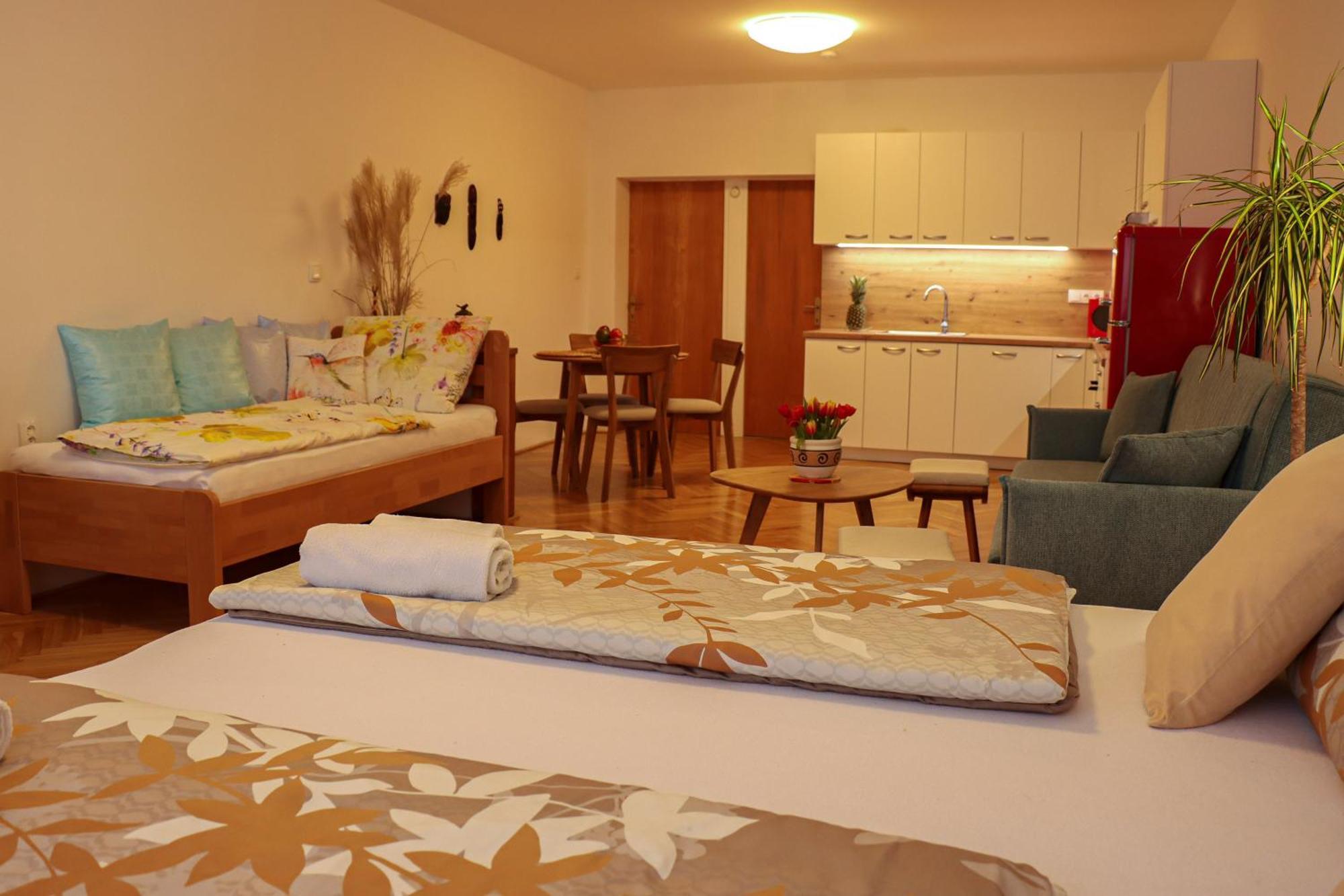 Ubytovani U Lipy Náchod 部屋 写真